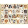 Puzzle Portrete De Caini, 500 Piese Ravensburger - 1
